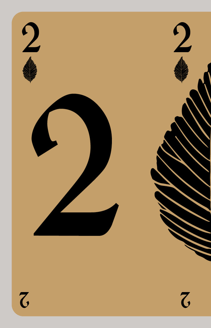 [Pre-order] Folia Folio