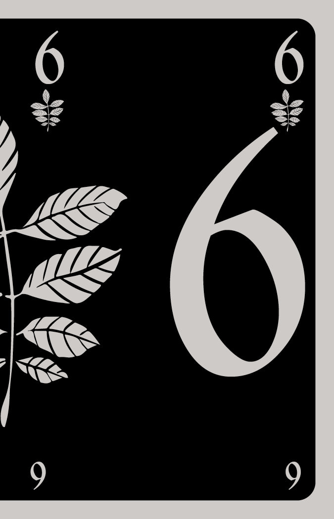 [Pre-order] Folia Folio